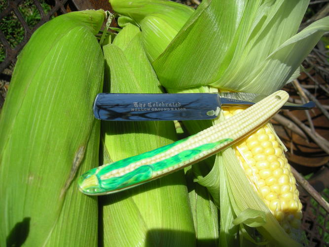 Name:  corn 006.jpg
Views: 180
Size:  60.1 KB