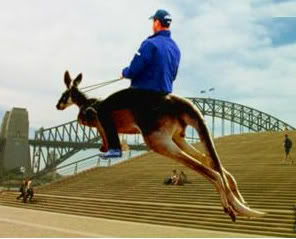 Name:  riding-kangaroo-sydney.jpeg
Views: 72
Size:  16.3 KB