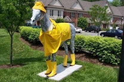 Name:  raincoat-on-a-horse-statue (2).jpg
Views: 657
Size:  70.8 KB