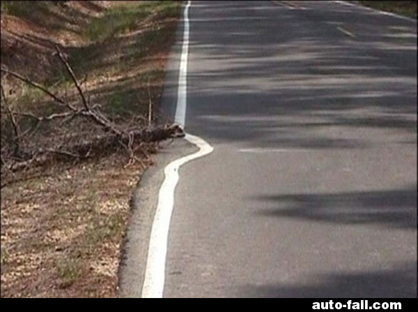 Name:  road-line-painted-around-fallen-tree-branch.jpg
Views: 55
Size:  49.5 KB