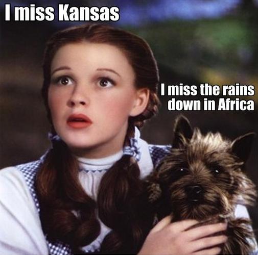 Name:  i-miss-kansas-i-miss-the-rains-down-in-Africa-Wizard-of-Oz-Dorothy-and-Toto.jpg
Views: 114
Size:  33.5 KB
