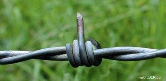 Name:  barb-wire-flip-off.jpg
Views: 110
Size:  25.0 KB