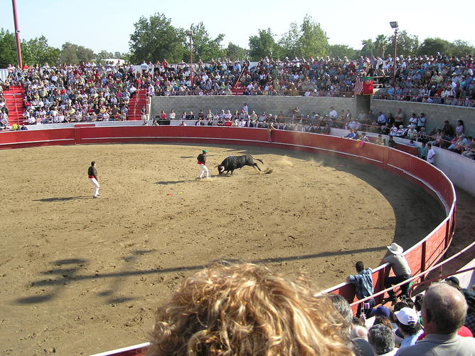 Name:  bullfights 2k4 012.jpg
Views: 39
Size:  91.5 KB