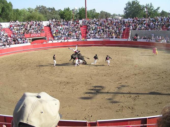 Name:  bullfights 2k4 013.jpg
Views: 50
Size:  92.6 KB