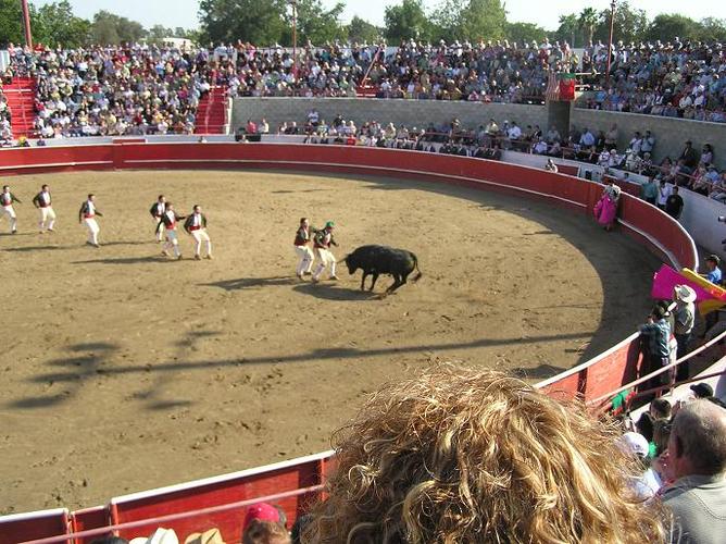 Name:  bullfights 2k4 014.jpg
Views: 50
Size:  86.9 KB