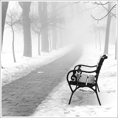 Name:  random,winter,black,and,white,paisaje,conceptual,love-f50462720843f3a7c8eed1c337436e02_h.jpg
Views: 190
Size:  70.3 KB