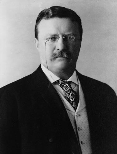 Name:  President_Theodore_Roosevelt,_1904.jpg
Views: 176
Size:  16.8 KB