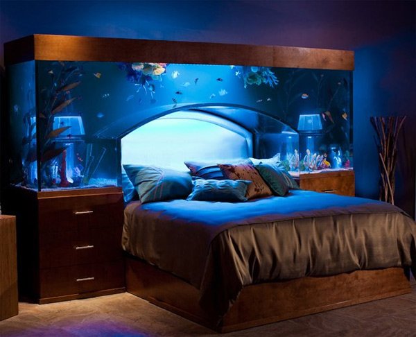 Name:  aquarium-bed.jpg
Views: 133
Size:  51.7 KB