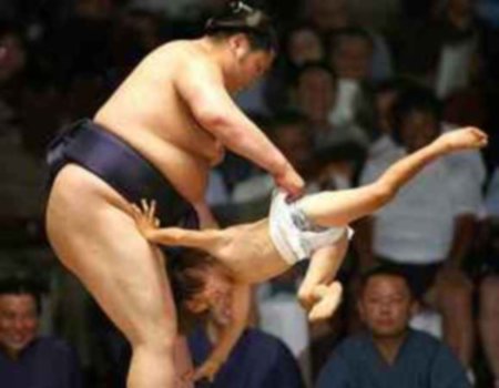 Name:  sumo.jpg
Views: 123
Size:  29.7 KB