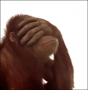 Name:  facepalm-chimp.jpg
Views: 112
Size:  34.4 KB