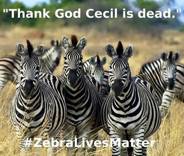 Name:  Zebra-Lives-Matter-650x552.jpg
Views: 141
Size:  69.6 KB