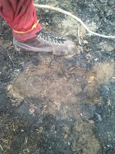 Name:  Big Foot print.jpg
Views: 120
Size:  53.1 KB