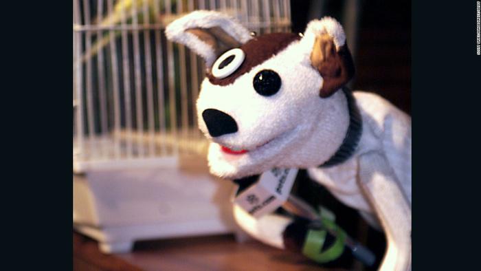 Name:  140523161911-pets-com-puppet-super-169.jpg
Views: 76
Size:  26.3 KB