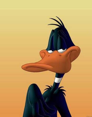Name:  daffy-duck.jpg
Views: 63
Size:  14.1 KB