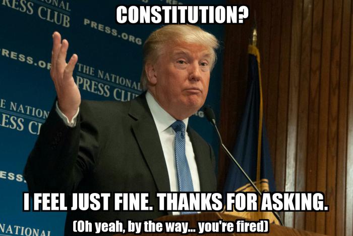 Name:  Trump Constitution.jpg
Views: 104
Size:  48.9 KB