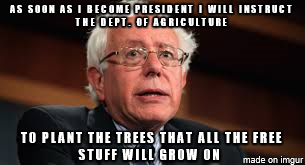 Name:  Bernie trees.png
Views: 82
Size:  69.6 KB