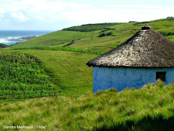 Name:  Eastern-Cape-Rural-Homestead.jpg
Views: 159
Size:  85.8 KB