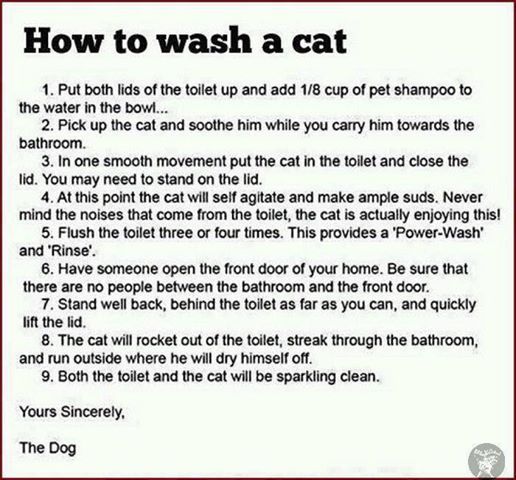 Name:  Wash the Cat.jpg
Views: 120
Size:  54.9 KB
