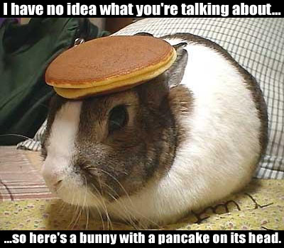 Name:  pancake_bunny.jpg
Views: 110
Size:  47.5 KB