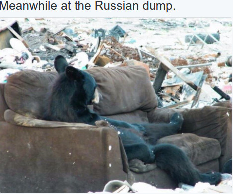 Name:  Russian Dump.png
Views: 113
Size:  253.7 KB