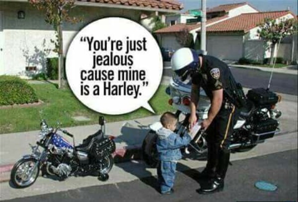 Name:  Baby Harley.jpg
Views: 68
Size:  81.6 KB