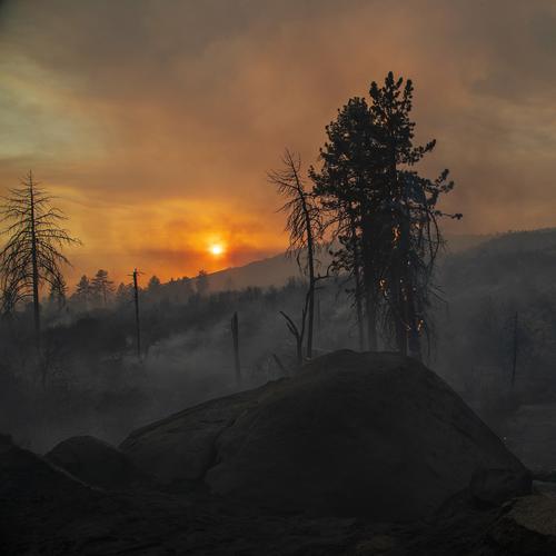 Name:  smoke-california-fires-east-coast-national-weather-service.jpg
Views: 97
Size:  20.0 KB