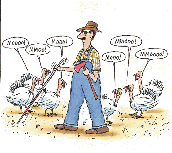 Name:  Blind Thanksgiving.gif
Views: 58
Size:  84.3 KB