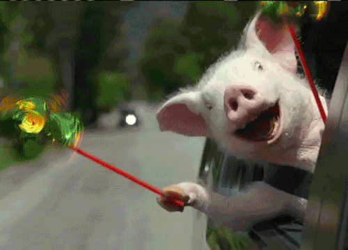 Name:  Happy Pig.gif
Views: 35
Size:  420.0 KB