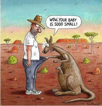 Name:  kangaroo.PNG
Views: 137
Size:  337.5 KB