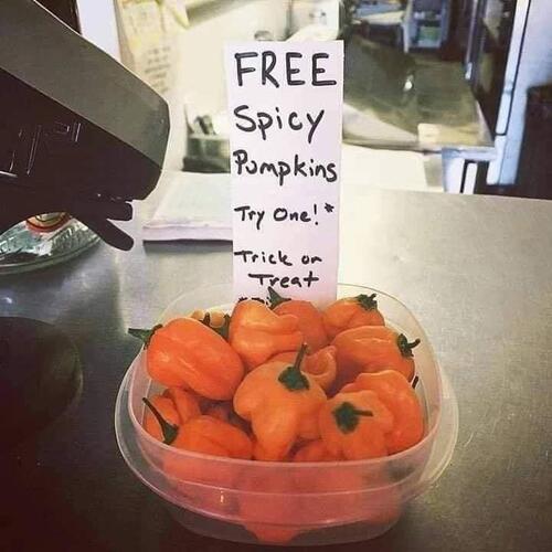 Name:  spicy pumpkins.jpg
Views: 38
Size:  35.0 KB