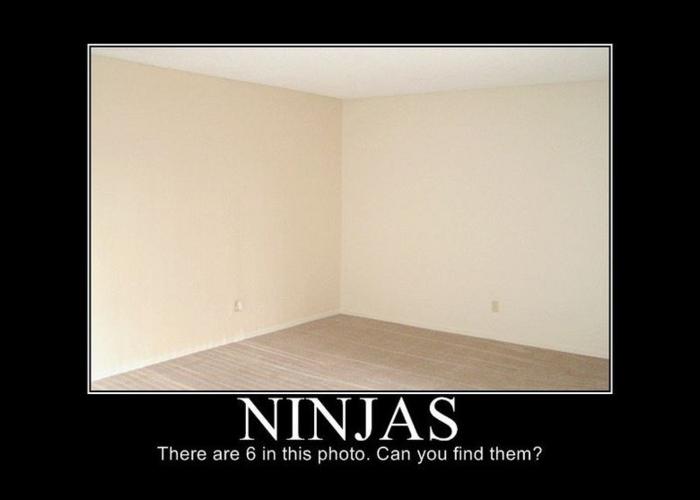 Name:  ninjas.jpg
Views: 95
Size:  19.7 KB