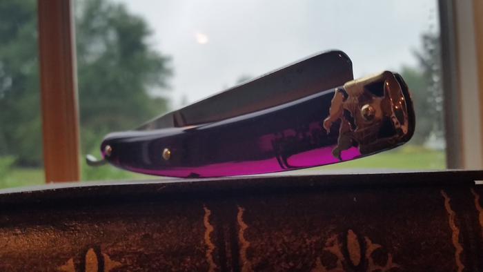 Name:  Flying Purple Whisker Eater (7).jpg
Views: 310
Size:  24.6 KB