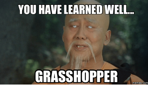 Name:  you-have-learned-well-grasshopper-memes-com-17713460.png
Views: 168
Size:  83.7 KB