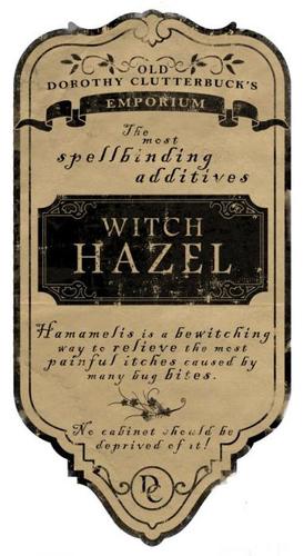 Name:  witch hazel.jpg
Views: 461
Size:  29.5 KB