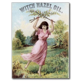 Name:  witch_hazel_oil_vintage_trade_card_advertisement_postcard-r629e3b3f72dc4895901e7dff4d5b56a2_vgba.jpg
Views: 519
Size:  27.4 KB