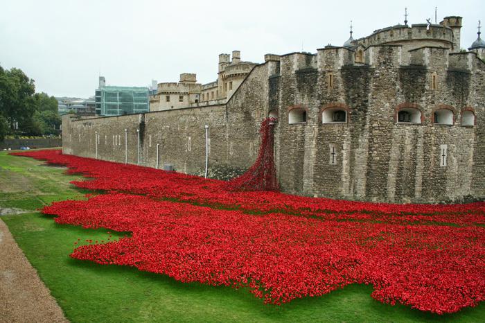 Name:  Tower_of_London_poppies_0581.jpg
Views: 160
Size:  75.8 KB
