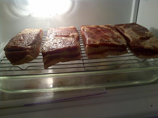 Name:  Bacon Cured drying.jpg
Views: 204
Size:  37.6 KB