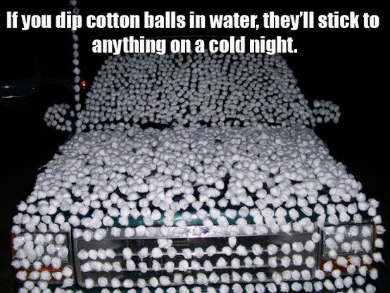 Name:  cotton balls.jpg
Views: 186
Size:  65.5 KB