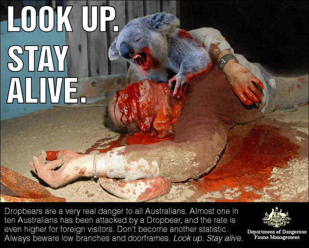 Name:  Dropbear1.jpg
Views: 68
Size:  77.1 KB