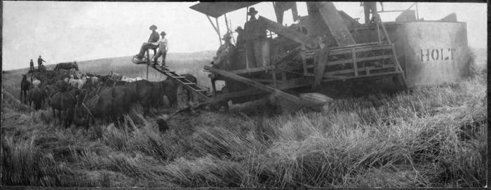 Name:  Cleaned Up James Clark Harvest 1917.jpg
Views: 122
Size:  34.5 KB