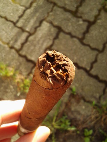 Name:  cigar.jpg
Views: 166
Size:  27.5 KB