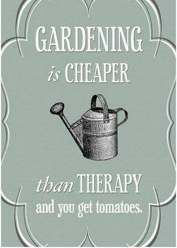 Name:  Garden therapy.jpg
Views: 138
Size:  27.3 KB