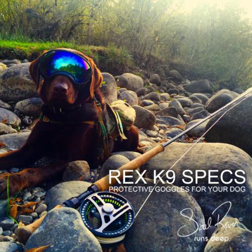 Name:  Rex Specs.jpg
Views: 233
Size:  55.0 KB