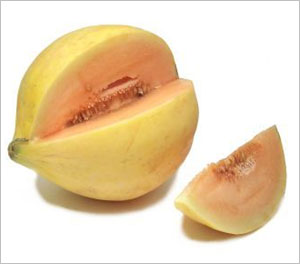 Name:  crenshaw-melon.jpg
Views: 147
Size:  11.4 KB
