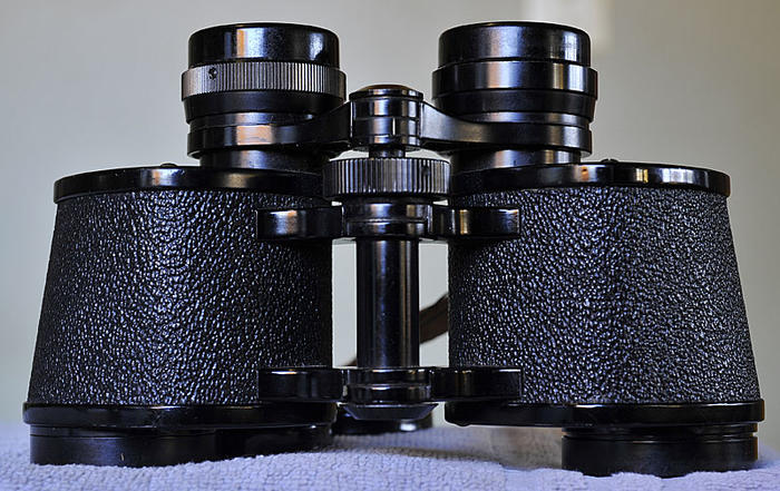 Name:  Vintage-Nikon-Binocular-b.jpg
Views: 528
Size:  80.5 KB