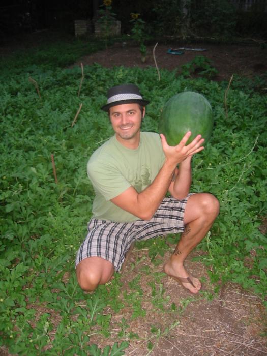 Name:  melon1.jpg
Views: 122
Size:  64.1 KB