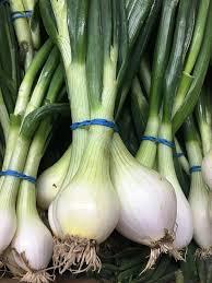Name:  Salad Onions-2.jpg
Views: 74
Size:  12.9 KB