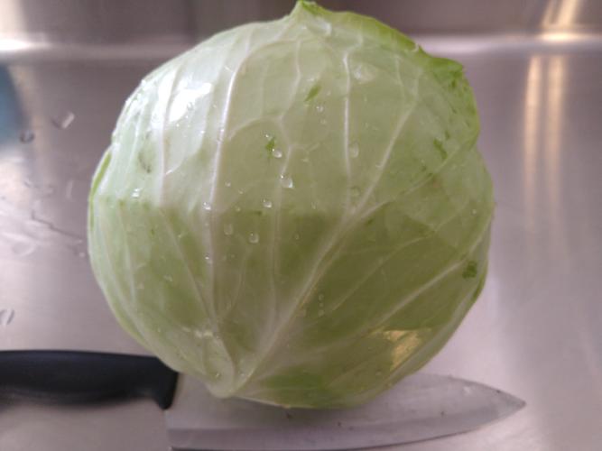 Name:  IMG_20240514_Cabbage.jpg
Views: 50
Size:  22.0 KB