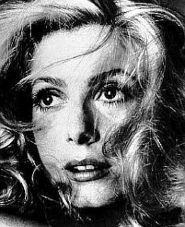 Name:  CatherineDeneuve.jpg
Views: 3788
Size:  51.1 KB