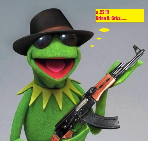 Name:  Kermit-Gun.jpg
Views: 4398
Size:  27.5 KB